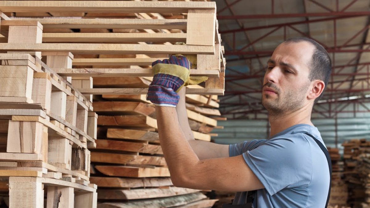 Paletes de madeira de um só uso - podem ser utilizadas mais do que uma vez?  - Articles